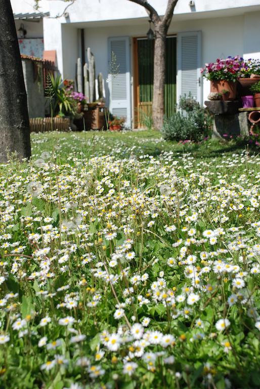 Bed And Breakfast Il Girasole Lamporecchio Εξωτερικό φωτογραφία